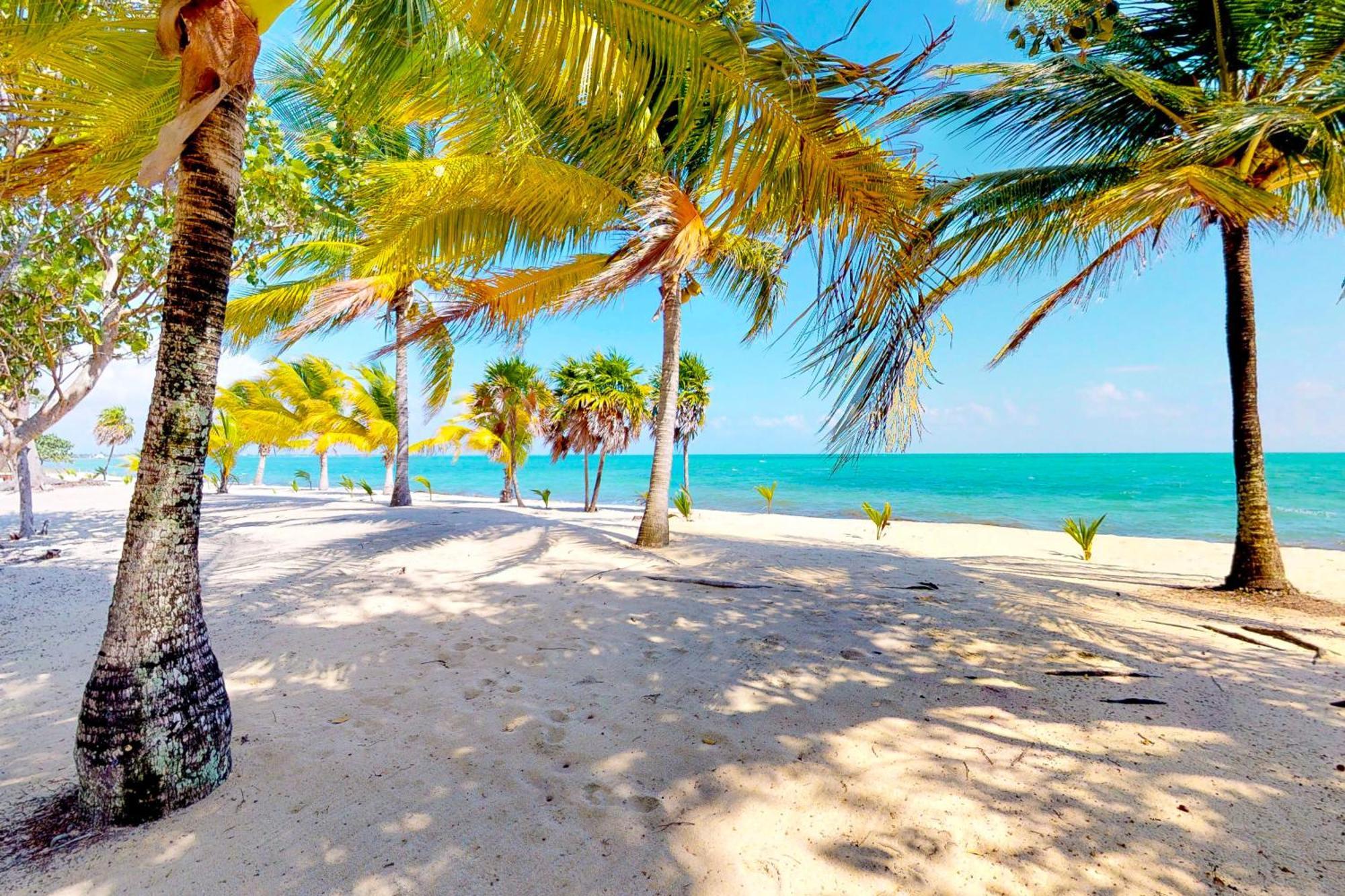 Casa Spuntino Villa Placencia ภายนอก รูปภาพ