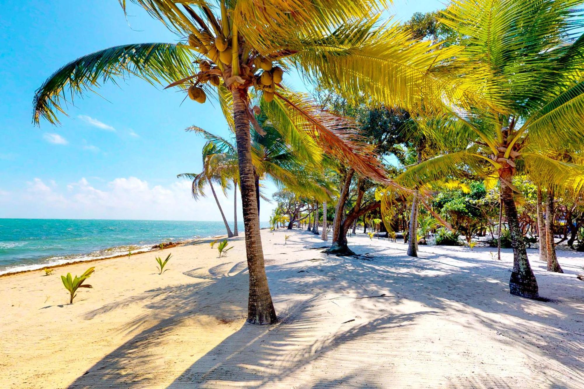 Casa Spuntino Villa Placencia ภายนอก รูปภาพ